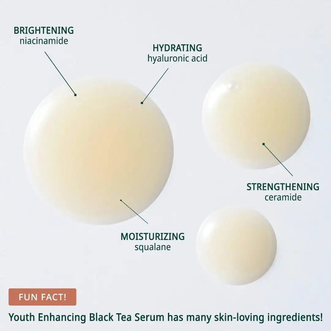 Innisfree Youth Enhancing Ampoule - with Black Tea 30ml Korean beauty product image 5