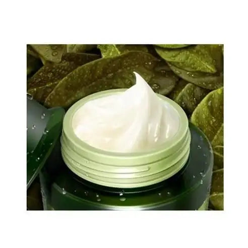 TONYMOLY The Chok Chok Green Tea Watery Moisture Cream 100ml Korean beauty product image 3