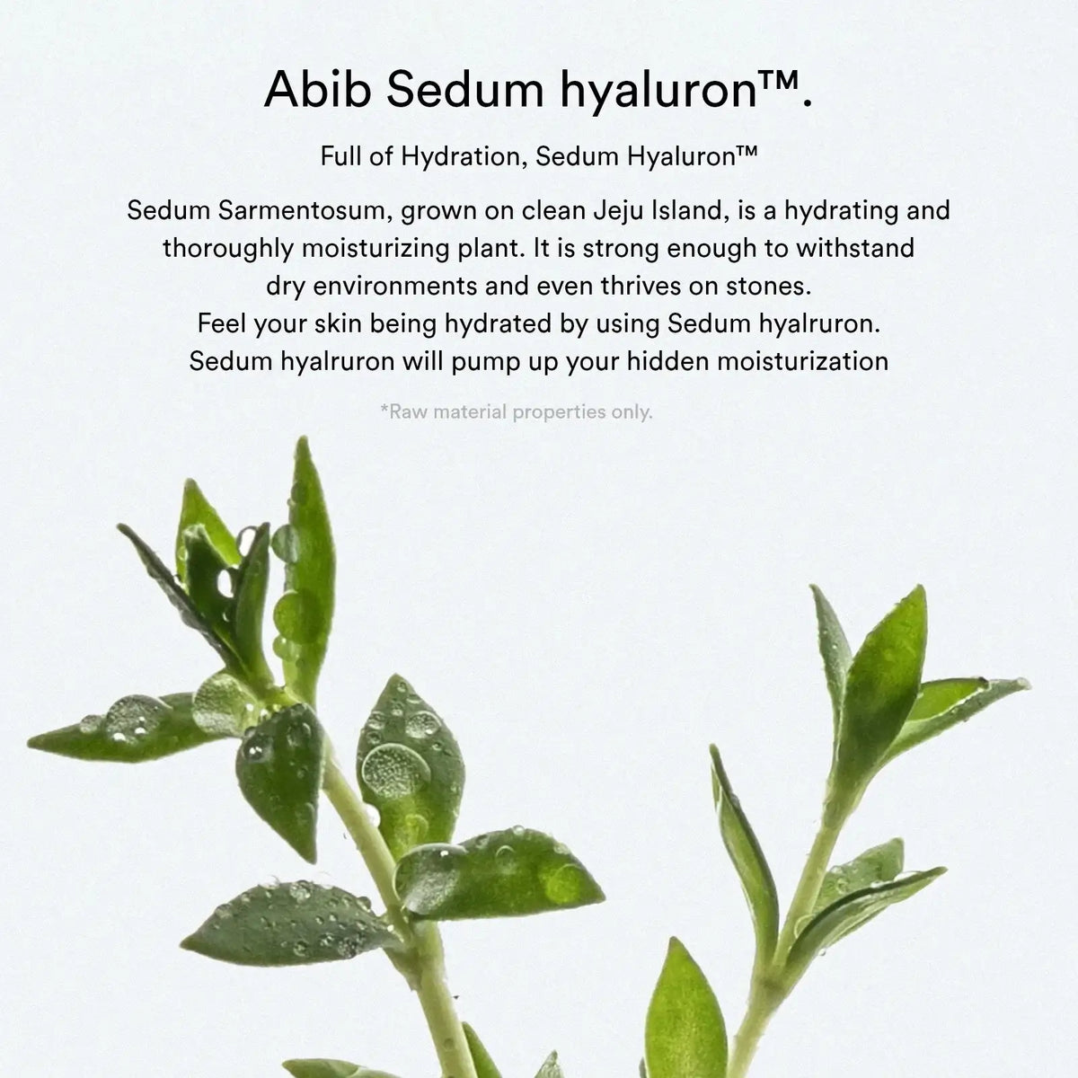 Abib Sedum Hyaluron Hydrating Touch toner pads, micro-embossed sheet, 165ml, 75 pads — product detail 3