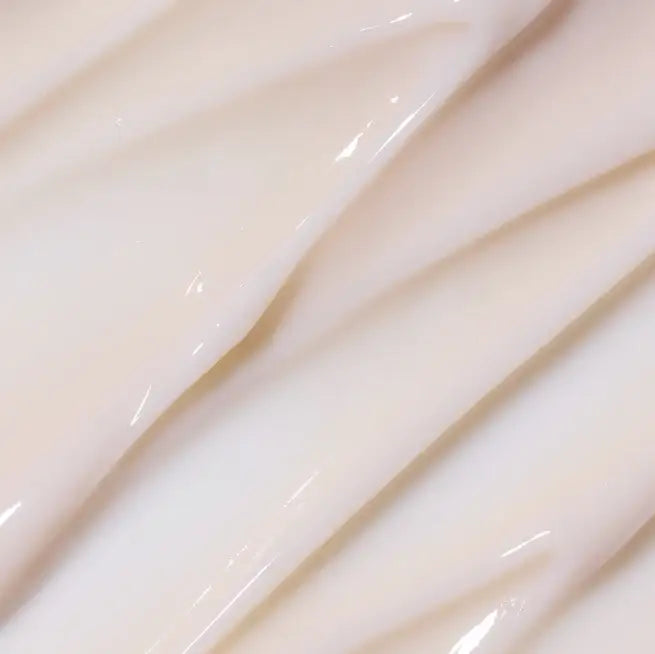 Innisfree Youth Enhancing Cream - with Black Tea 50ml Korean beauty product image 3
