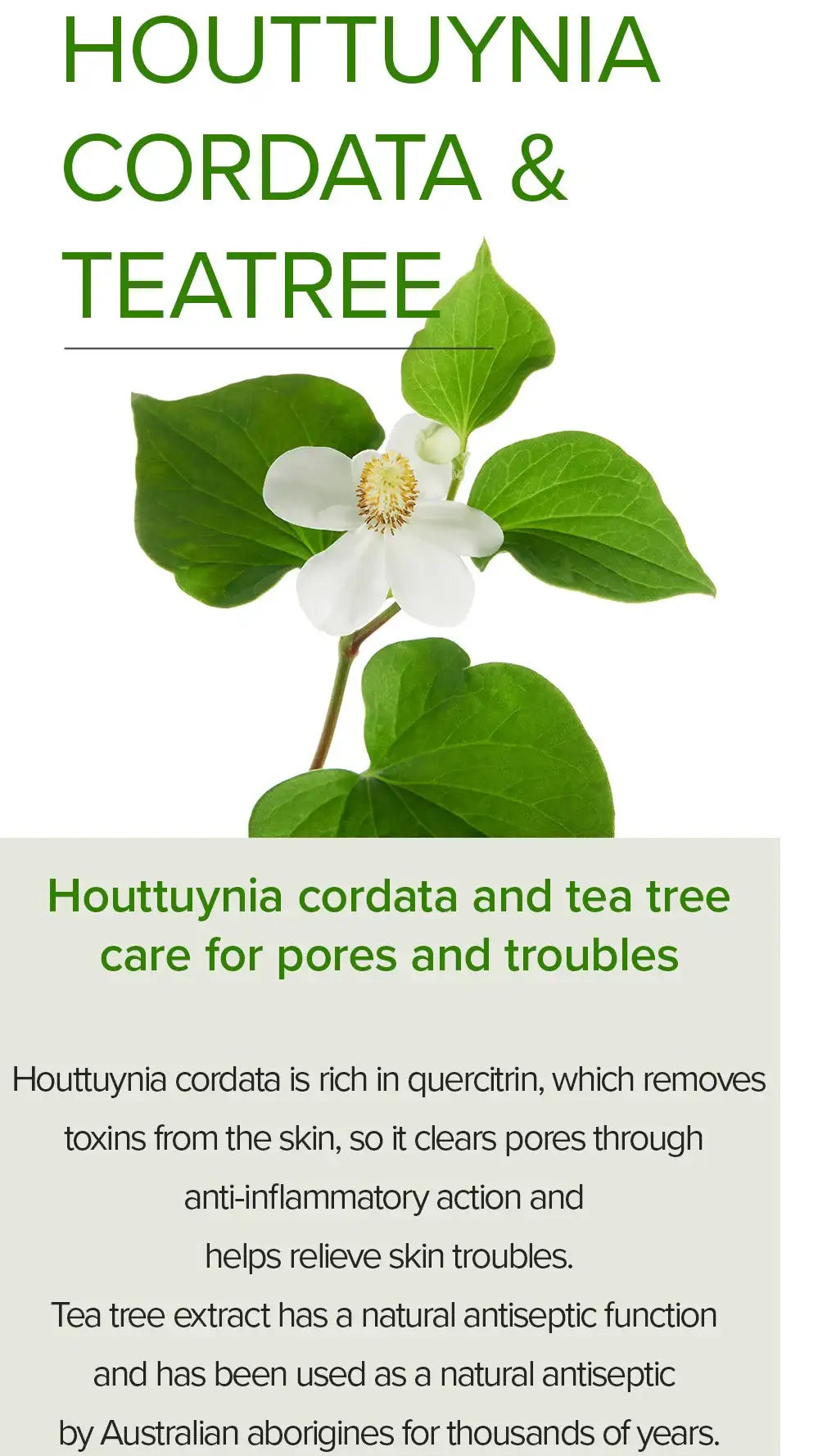 Mary&May Houttuynia Cordata +Tea Tree Serum - 30ml Korean product view 8