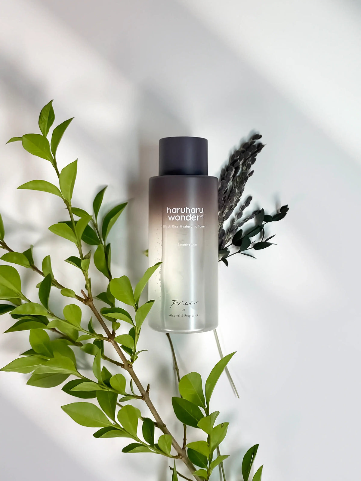 haruharu wonder Black Rice Hyaluronic Toner For Sensitive Skin 150ml Korean beauty product image 4