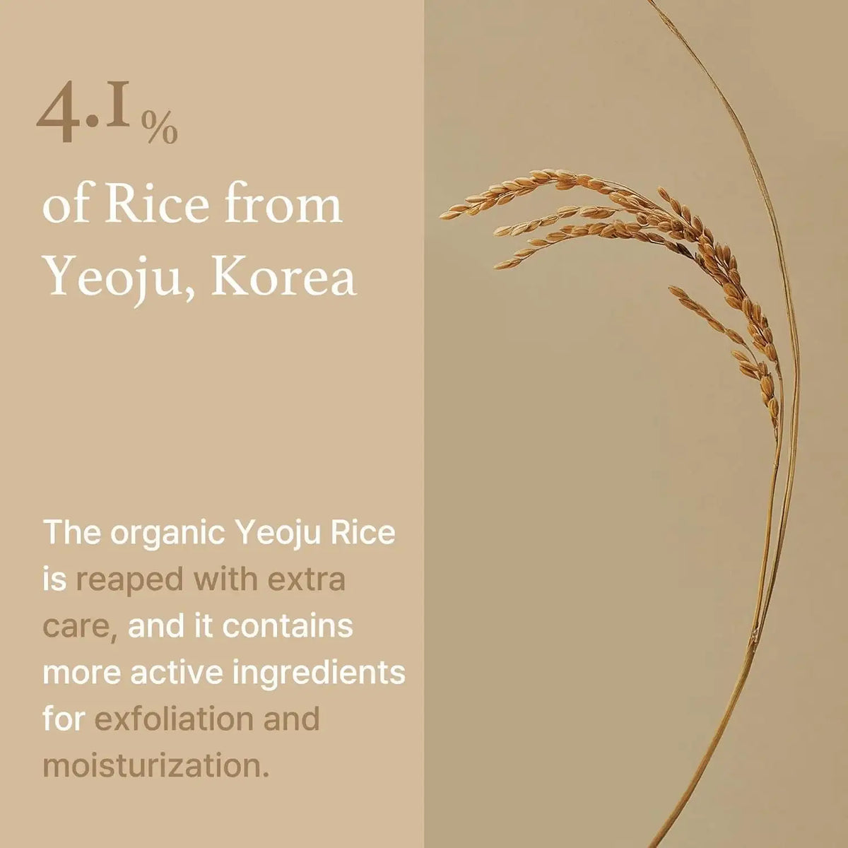 I’m From Rice Mask 110g Korean beauty product image 7