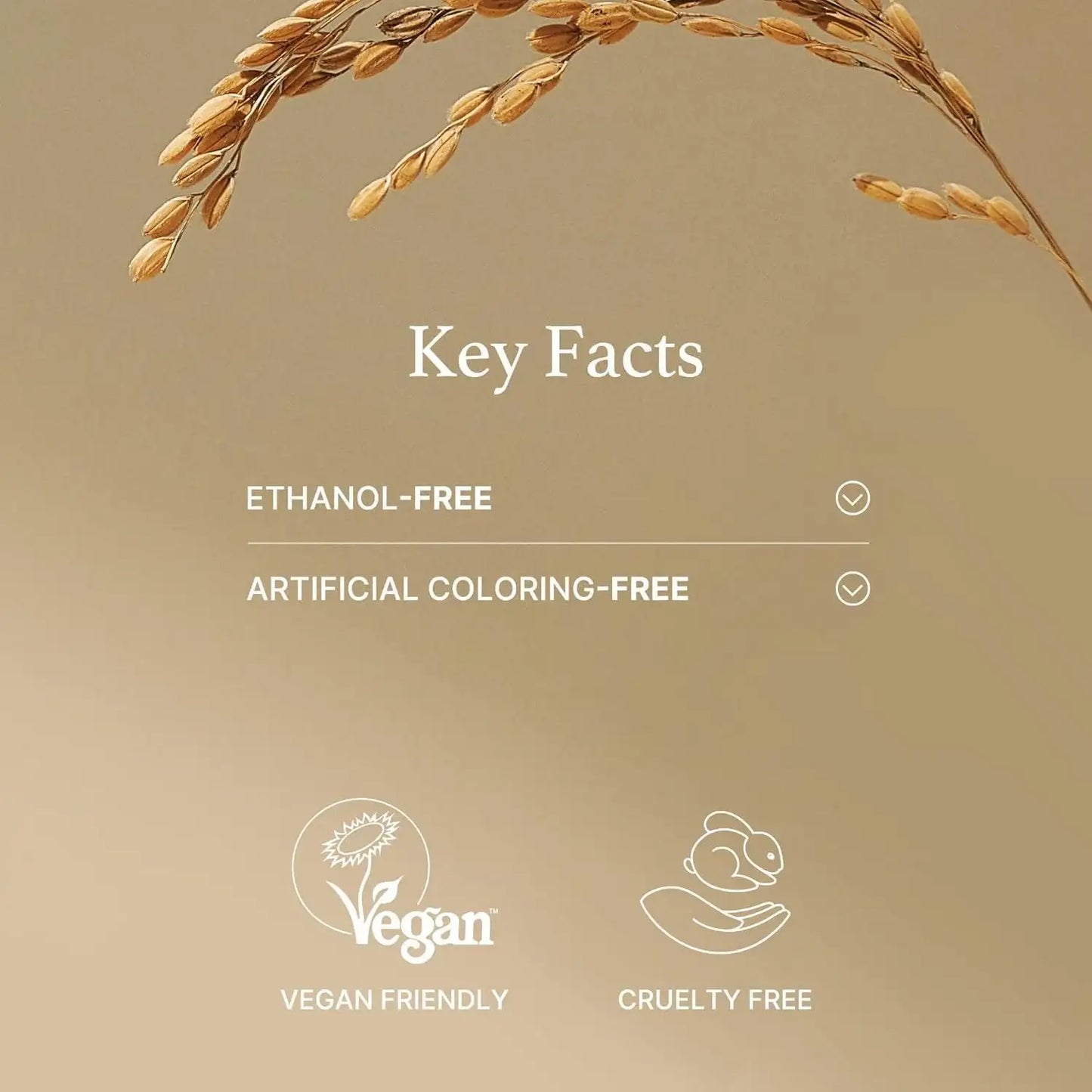 I’m From Rice Mask 110g Korean beauty product image 9