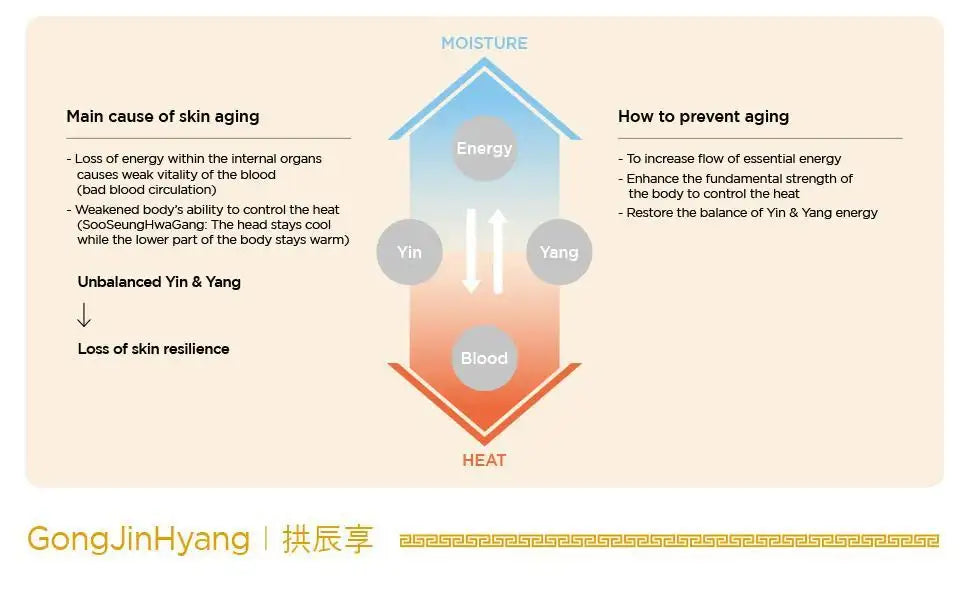 THE WHOO Gongjinhyang Essential Nourishing Emulsion 110ml luxury Korean beauty product image 5