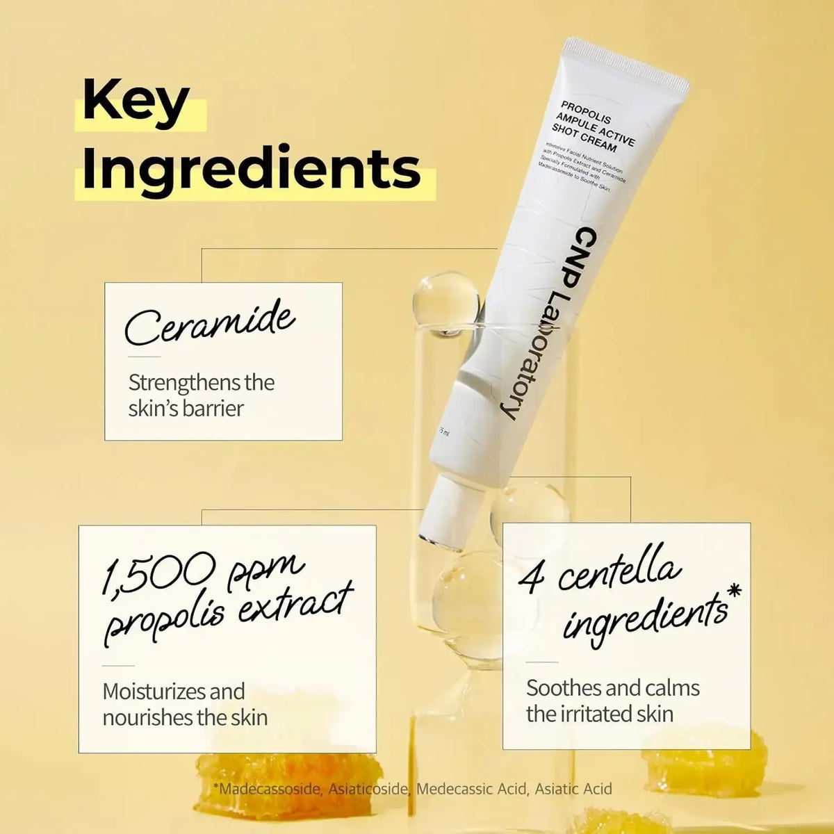 CNP Laboratory Propolis Ampule Active Shot Cream 75ml Korean skincare product image 6