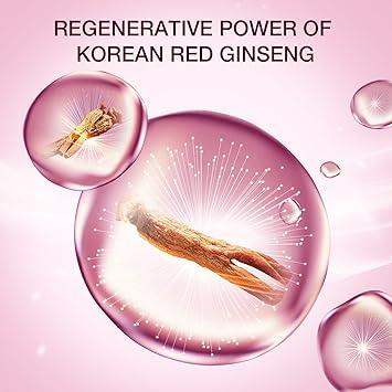 DONGINBI Red Ginseng Daily Defense Cream 25ml Korean red ginseng skincare product image 4
