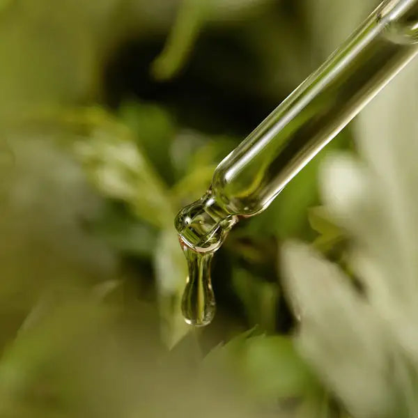 I’m From Mugwort Serum 30ml Korean beauty product image 6