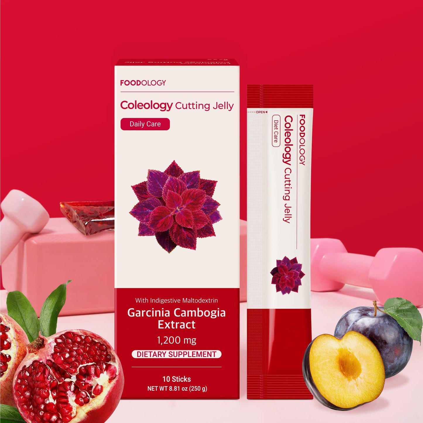 Foodology Coleology Cutting Jelly 25g × 10 Sticks