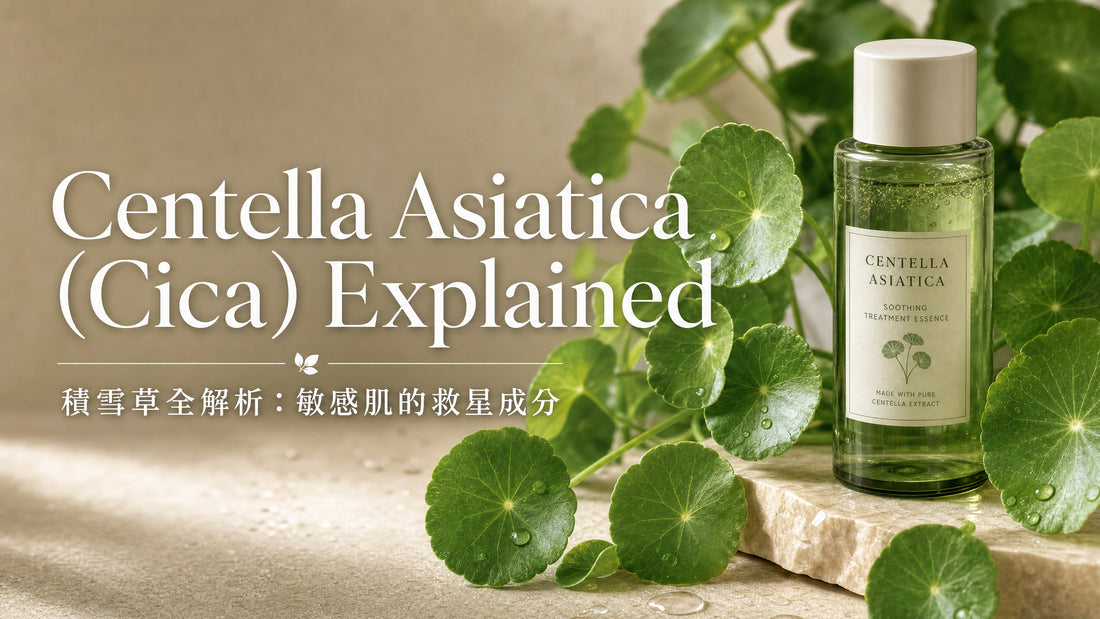 Centella Asiatica (Cica) Explained: The Korean Skincare Ingredient for Sensitive Skin