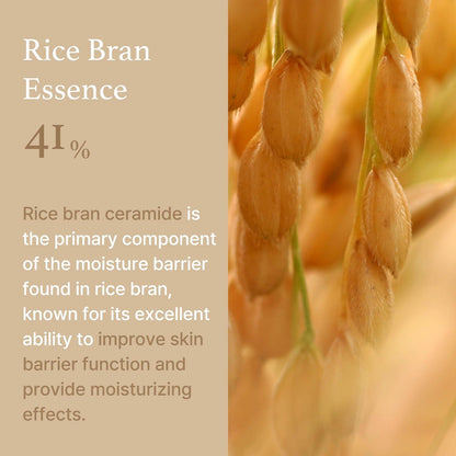 [ImFrom] Rice Cream 50g