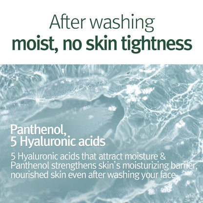 [PyunkangYul] Calming Acne Cleansing Foam 100ml