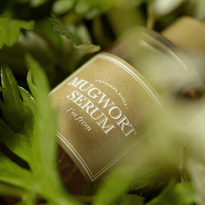 [ImFrom] Mugwort Serum 30ml