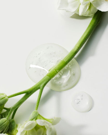 [THE LAB By BLANC DOUX] Green Flavonoid™ 5.0 精華液 30ml