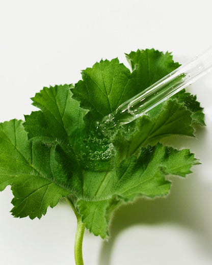 [THE LAB By BLANC DOUX] Green Flavonoid™ 5.0 精華液 30ml
